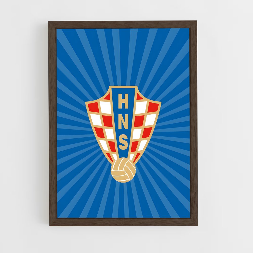 Poster Handball Fever (vue 5)